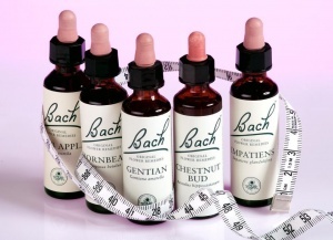 6563_1460552574_htmlfull[2]